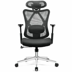 BASETBL Ergonomic Office Chair (1)
